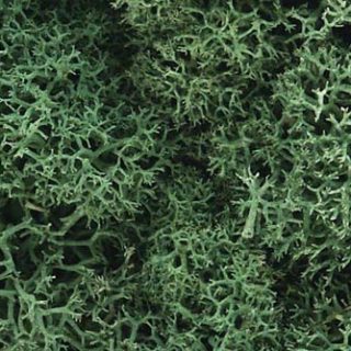 WOODLAND SCENICS  L162 LICHEN LIGHT GREEN